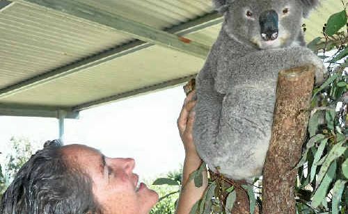 Darling Downs Zoo owner Stephanie Robinson with Ted, one of the zoo’s newest additions. Darling Downs Zoo owner Stephanie Robinson with Ted, one of the zoo’s newest additions.